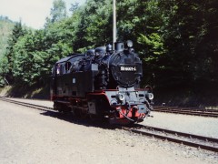 1995_0338